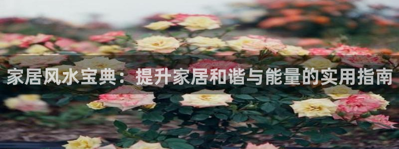 ug环球官网入口
