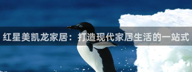 ug环球国际买分