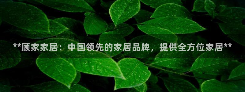 ug环球视讯手机版官网