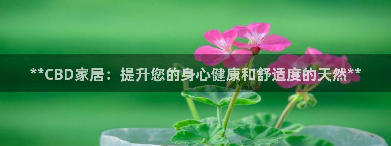 ug环球国际