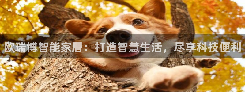 ug环球平台