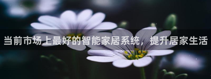 ug环球找唯xkk 908