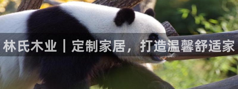 UG环球假网合作