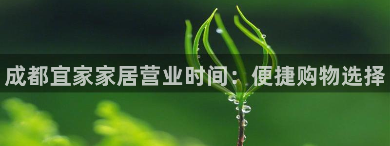ug环球代理加盟