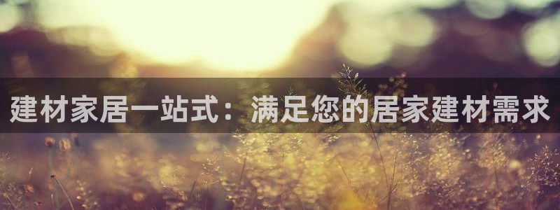 ug环球信用盘