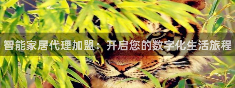 ug环球官网环球360