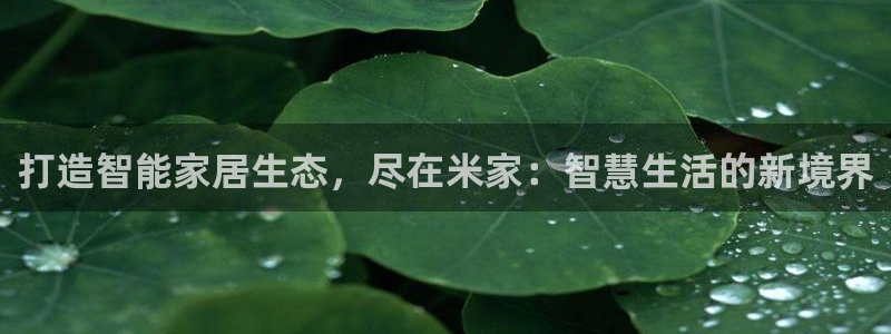 ug环球app下载