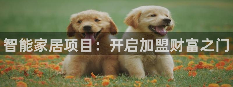环球ug包杀网