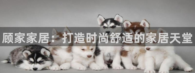 ug环球官网24小时