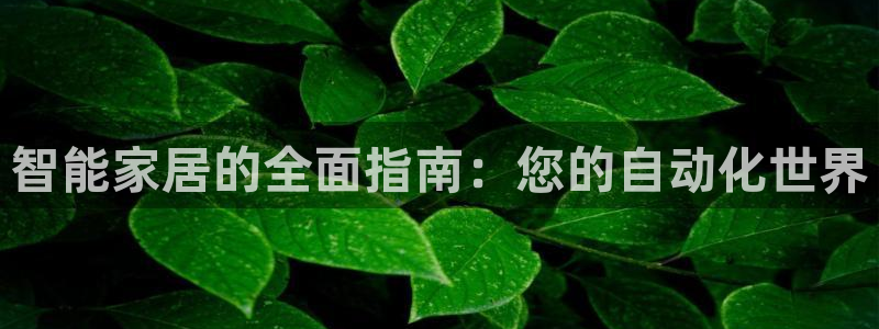 ug环球代理合作
