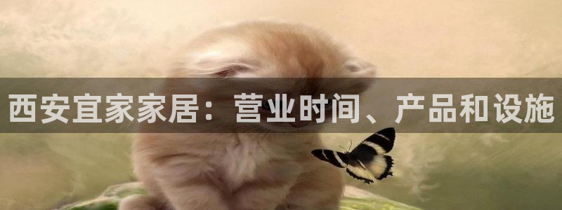 UG环球网一比一