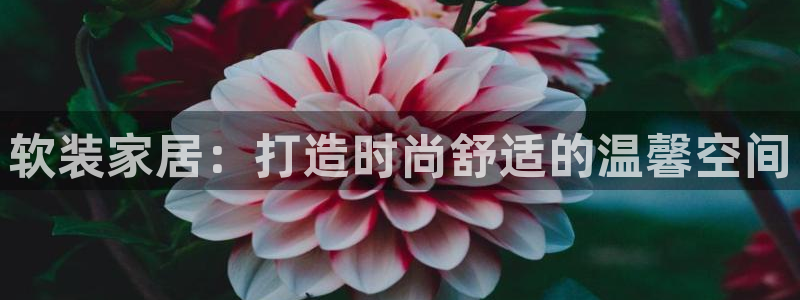 ug环球正网包杀