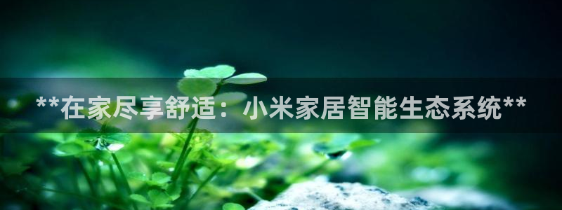 ug环球信用盘