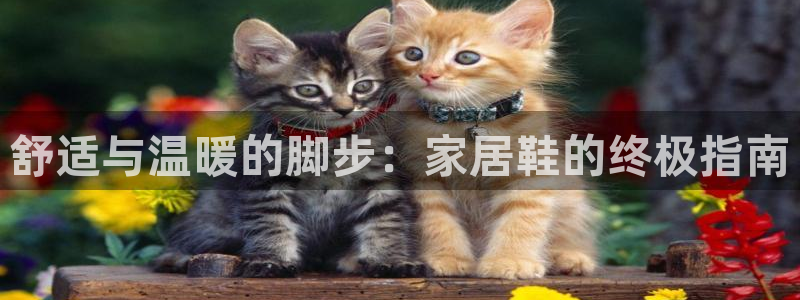 ug环球app下载