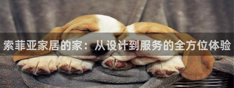 uG环球网站