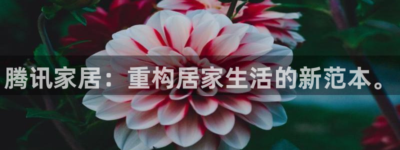 ug环球密码重置是多少位数