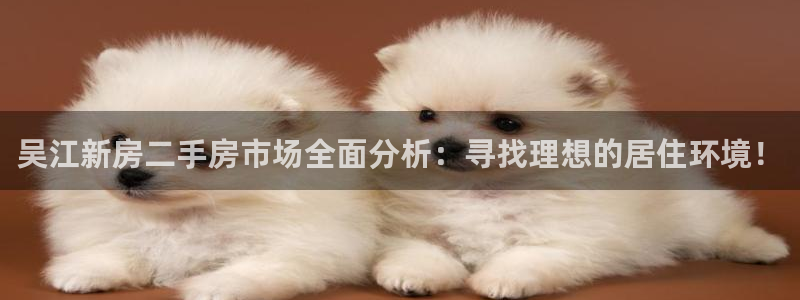 ug环球会员官方客服电话