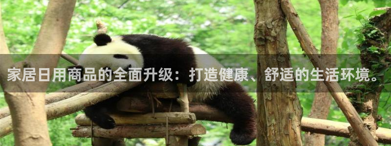 ug环球代理
