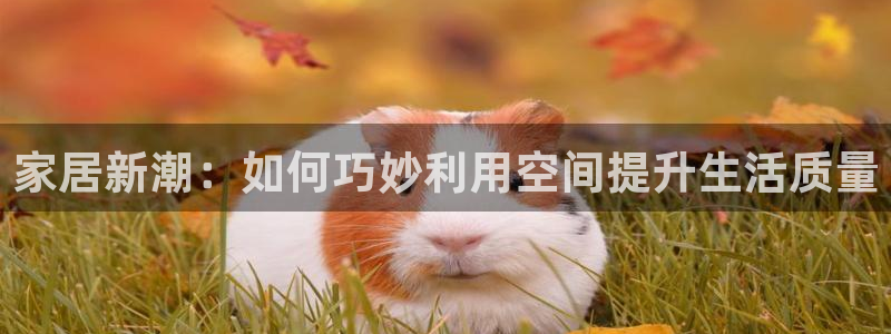 ug环球网
