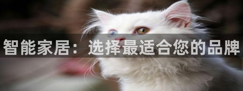 ug环球代理加盟