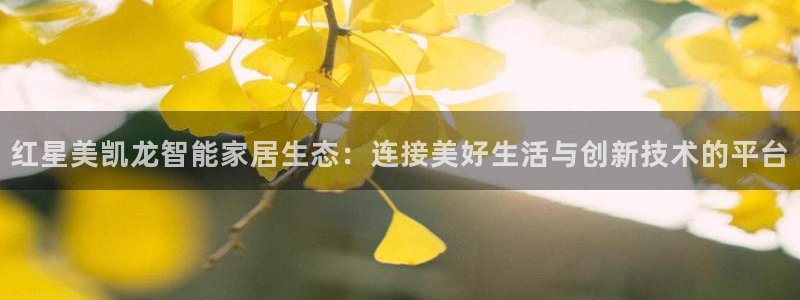 ug环球网