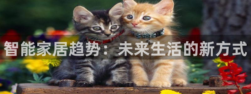 ug环球网