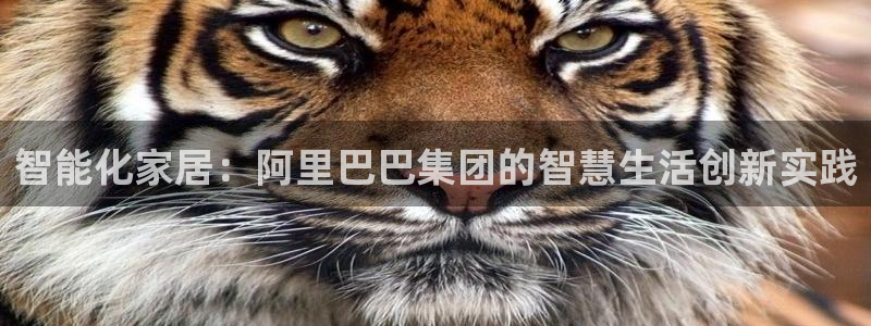 uG环球游戏网站