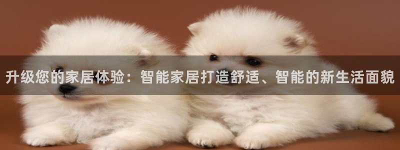 ug环球代理合作