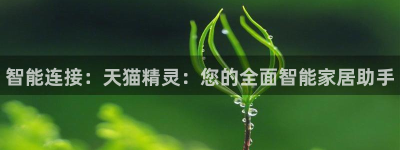 ug环球360代理