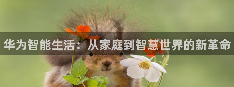 UG环球网一比一