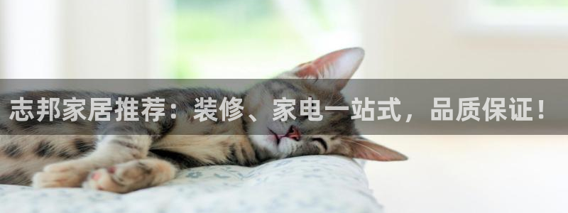 UG环球官方网