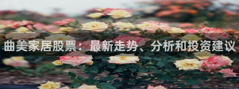 ug环球代理合作