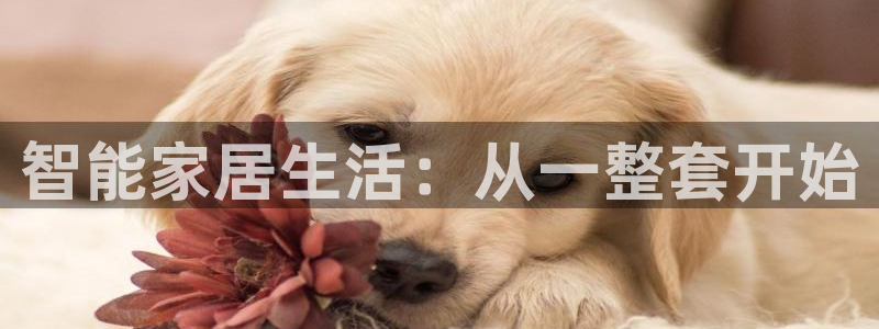UG环球假网合作