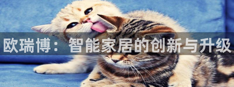ug环球真假