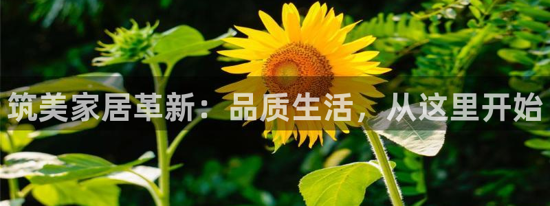 ug环球国际买分