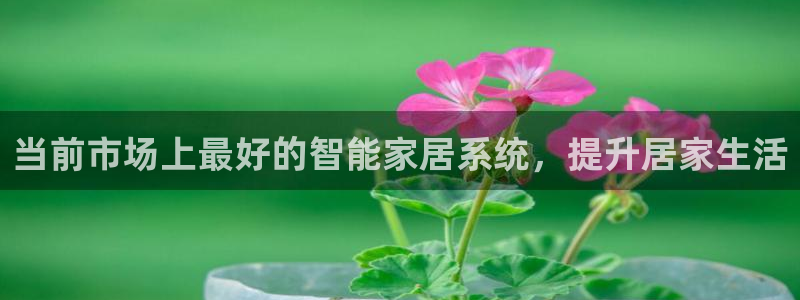 ug环球会员