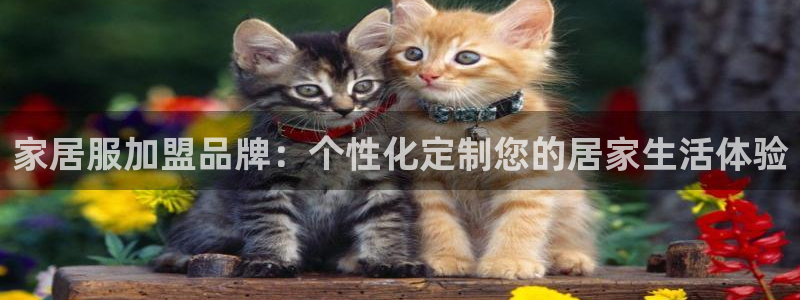 UG环球视讯