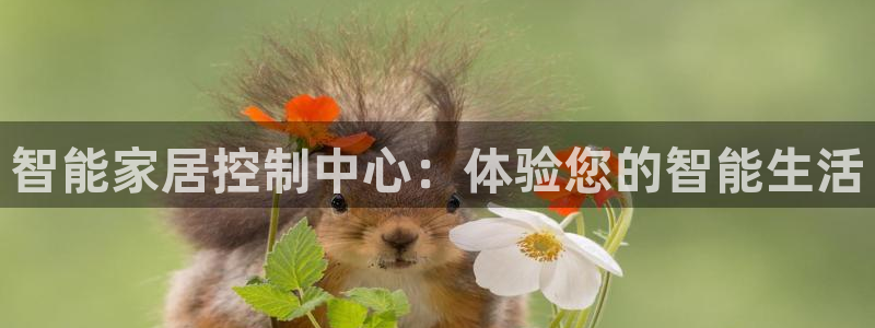 ug环球游戏网站官网