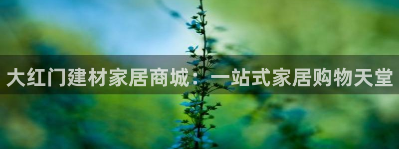 ug环球官网注册会员登录