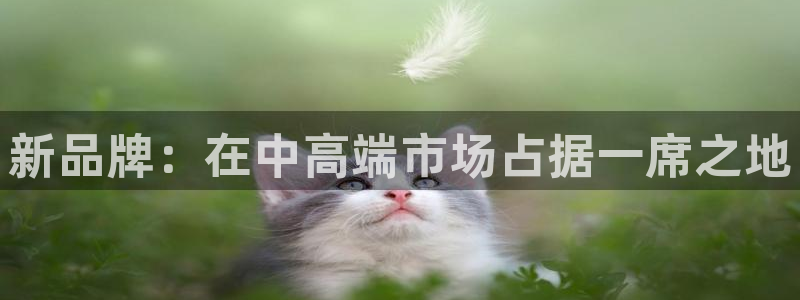 uG环球游戏网站：新品牌：在中高端市场占