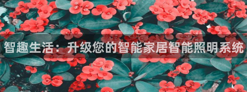 UG环球代理