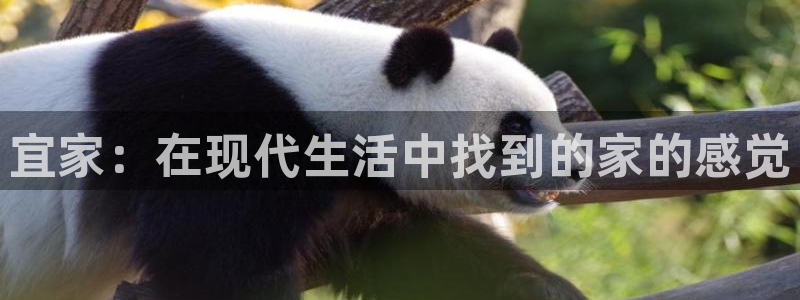 ug环球假网一比一