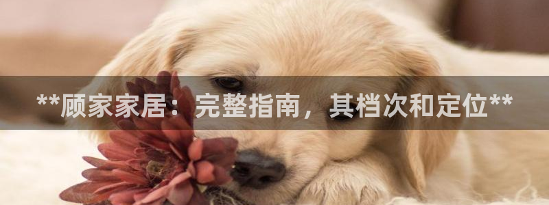 ug环球游戏网站