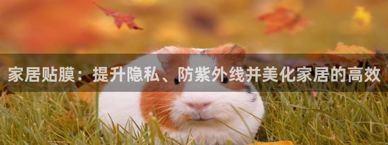 ug环球官网会员