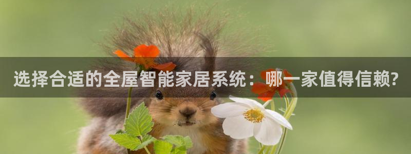 UG环球国际在线