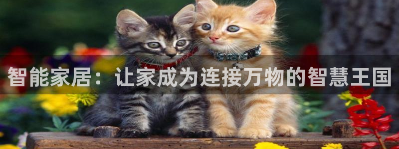 ug环球会员网站登录：智能家居：让家成为