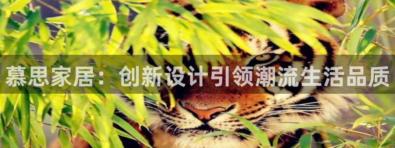 ug环球会员登陆