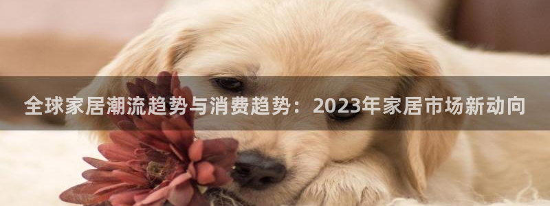 ug环球视讯充值